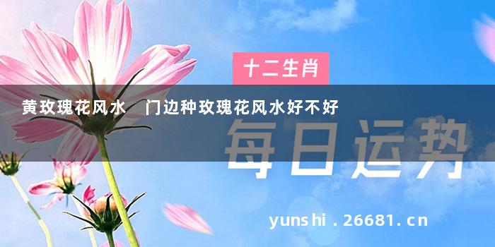 黄玫瑰花风水 门边种玫瑰花风水好不好